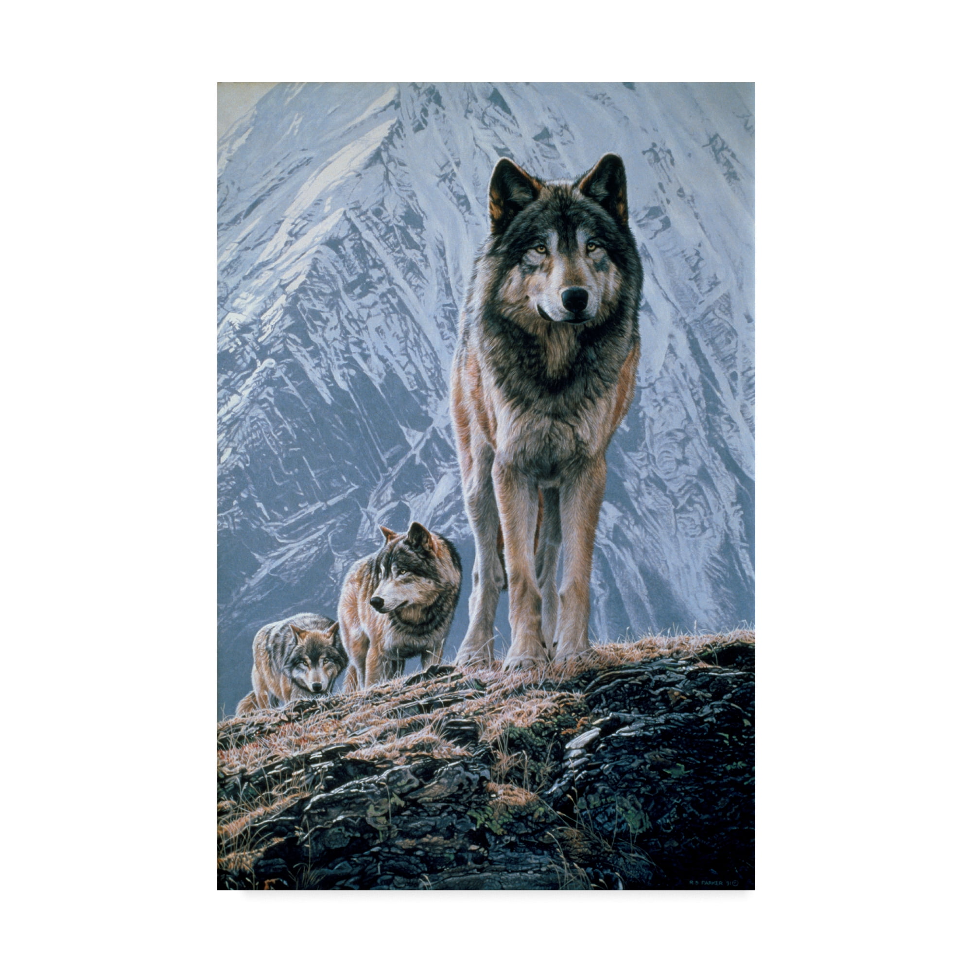 Trademark Fine Art 'Crossing The Ridge' Canvas Art by Ron Parker