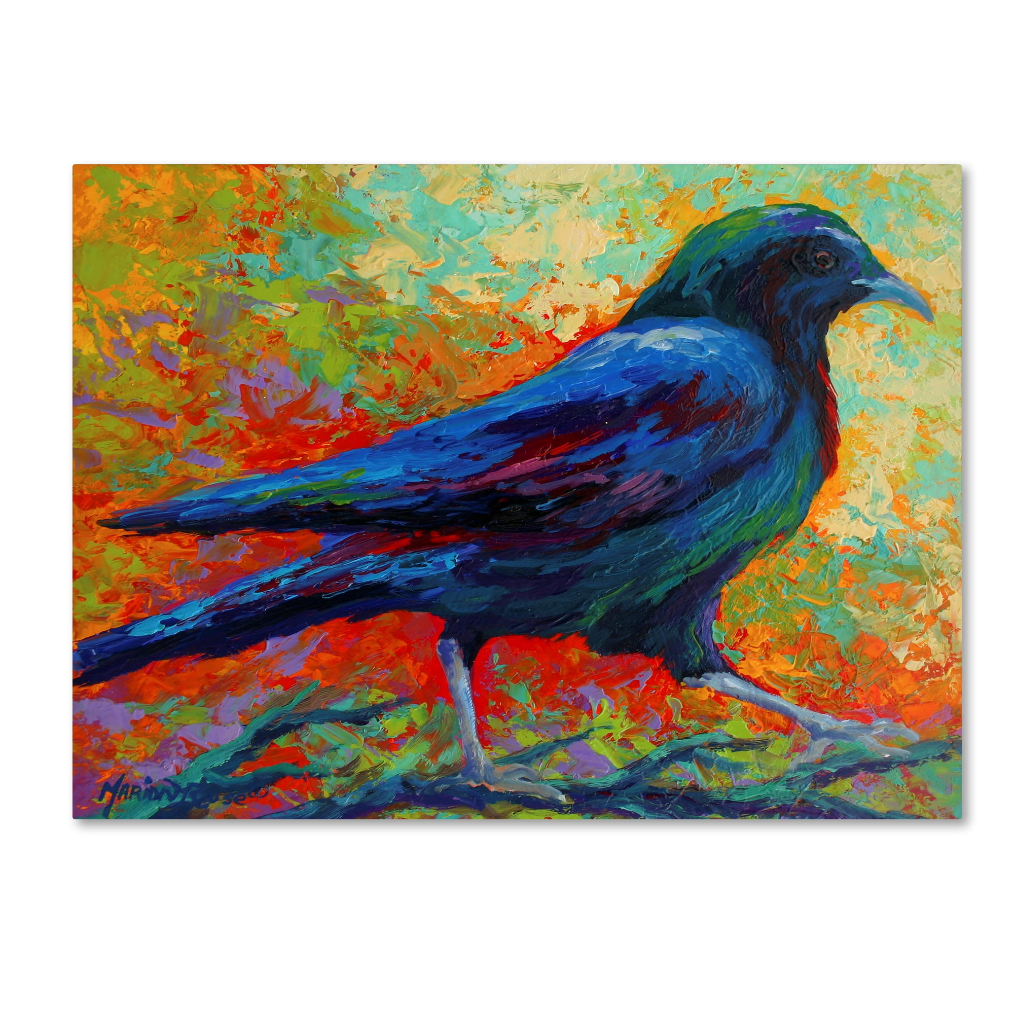 Trademark Fine Art 'Crow 15' Canvas Art by Marion Rose