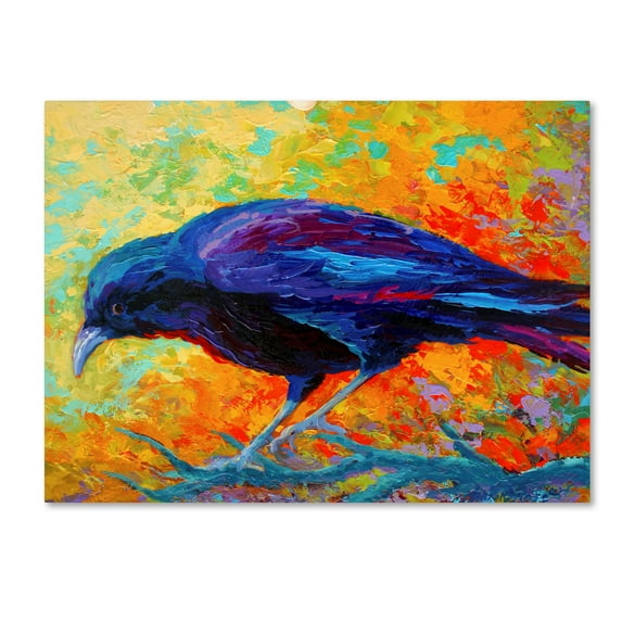 Trademark Fine Art 'Crow 17' Canvas Art by Marion Rose