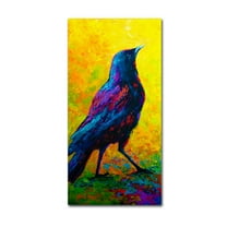 Trademark Fine Art 'Crow 3' Canvas Art by Marion Rose
