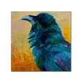 thumbnail image 1 of Trademark Fine Art 'Crow Study' Canvas Art by Marion Rose, 1 of 3