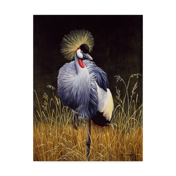 Trademark Fine Art 'Crowned Crane' Canvas Art by Harro Maass