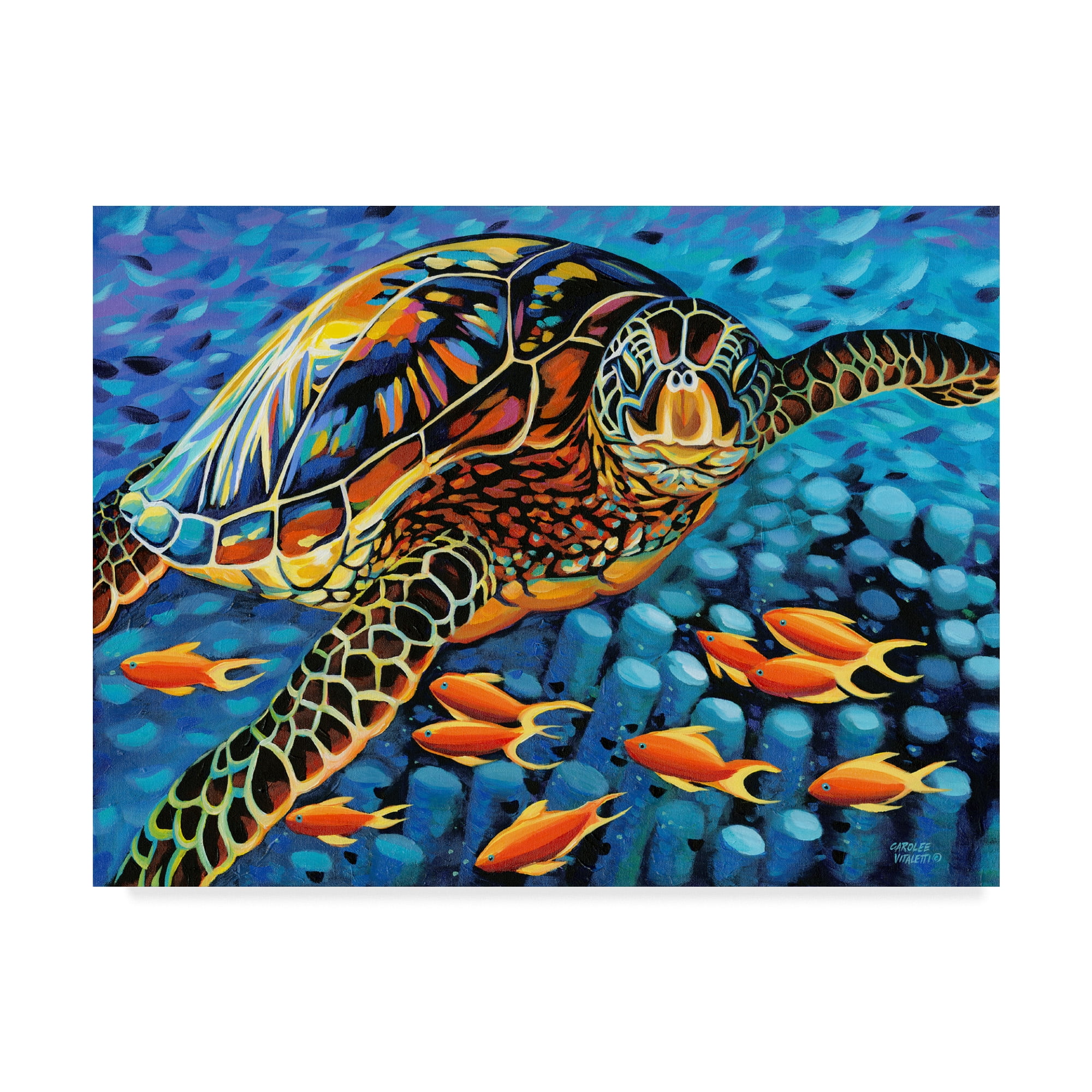 Trademark Fine Art 'Cruising Along I' Canvas Art by Carolee Vitaletti