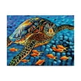 thumbnail image 1 of Trademark Fine Art 'Cruising Along I' Canvas Art by Carolee Vitaletti, 1 of 4