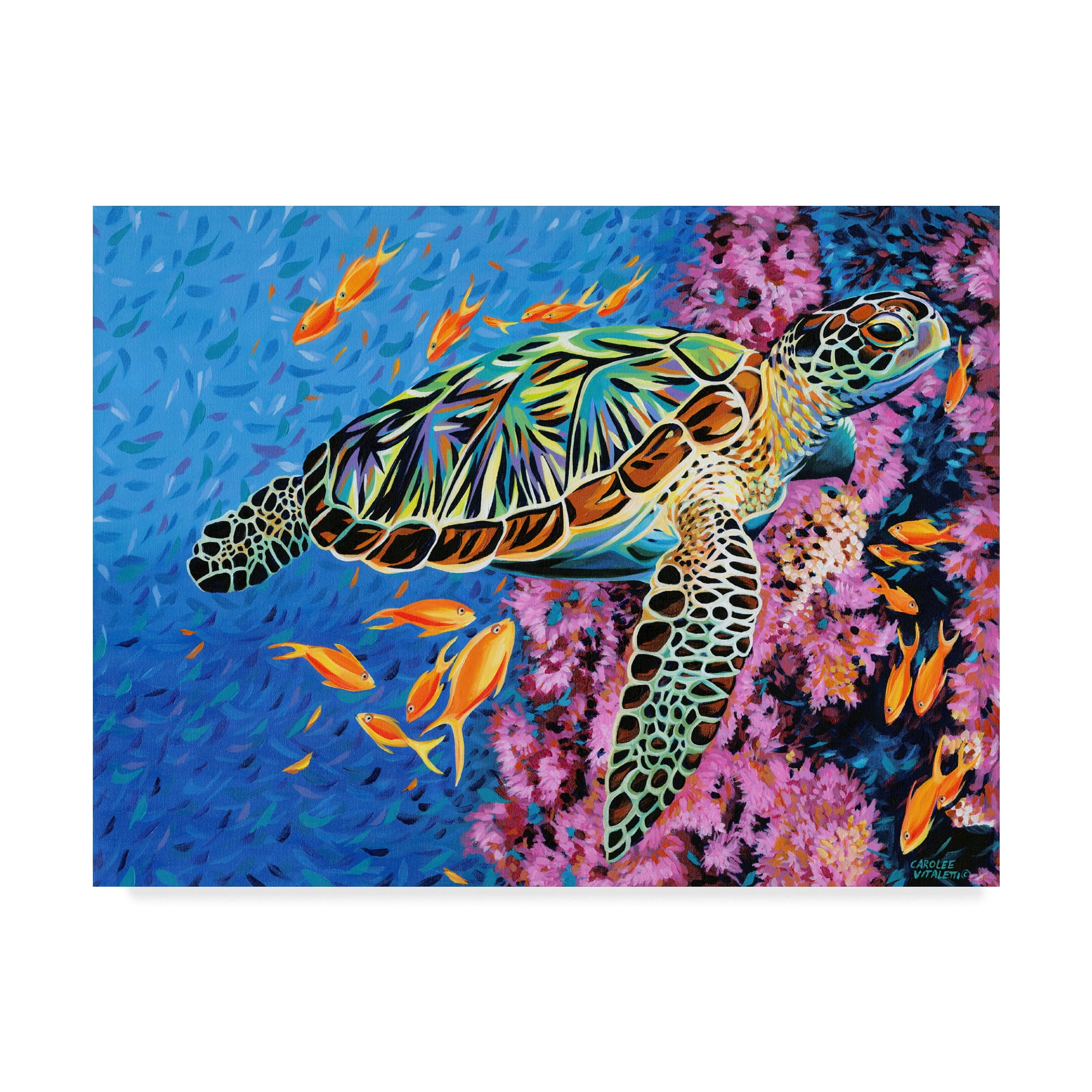 Trademark Fine Art 'Cruising Along II' Canvas Art by Carolee Vitaletti