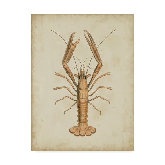 Trademark Fine Art 'Crustaceans I' Canvas Art by James Sowerby