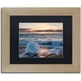 thumbnail image 1 of Trademark Fine Art "Crystal Floret" Canvas Art by Michael Blanchette Photography Black Matte, Birch Frame, 1 of 1