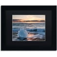 thumbnail image 1 of Trademark Fine Art "Crystal Floret" Canvas Art by Michael Blanchette Photography Black Matte, Black Frame, 1 of 4