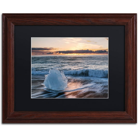 Trademark Fine Art "Crystal Floret" Canvas Art by Michael Blanchette Photography Black Matte, Wood Frame