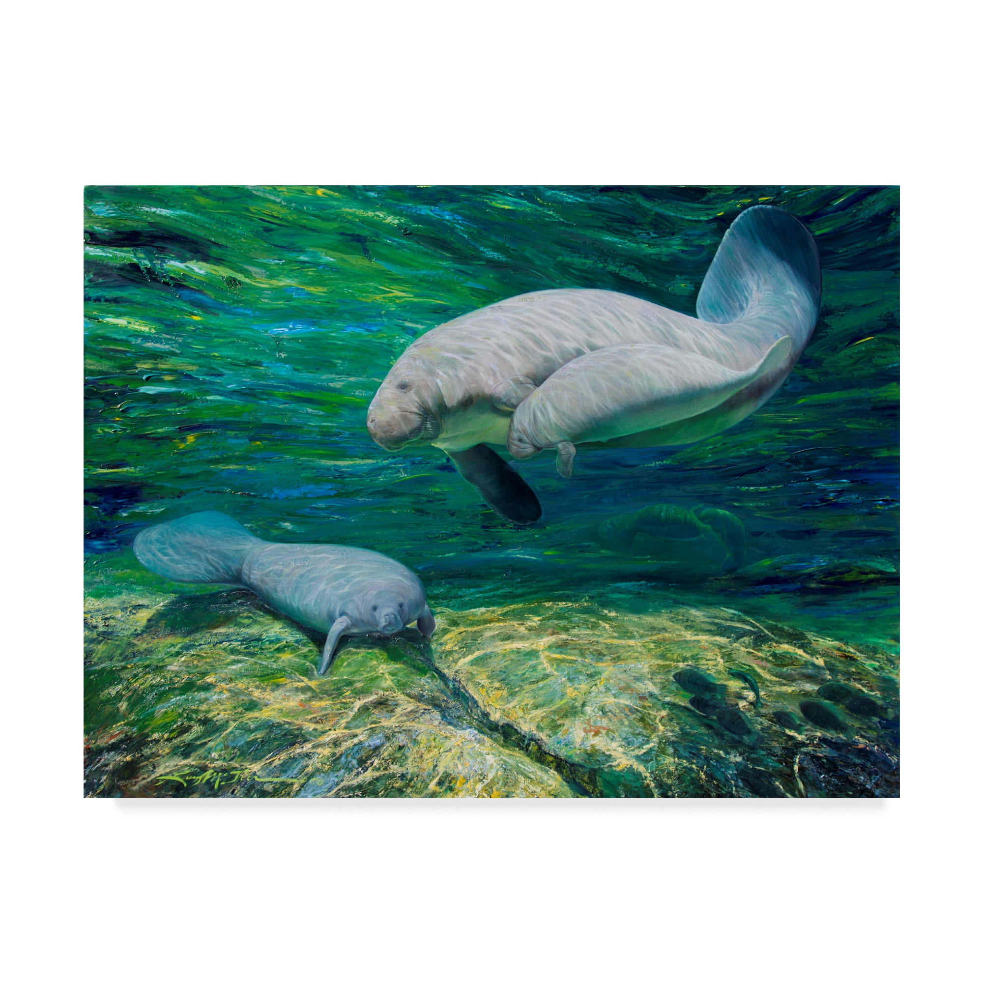 Trademark Fine Art 'Crystal River Manatee' Canvas Art by Lucy P. Mctier