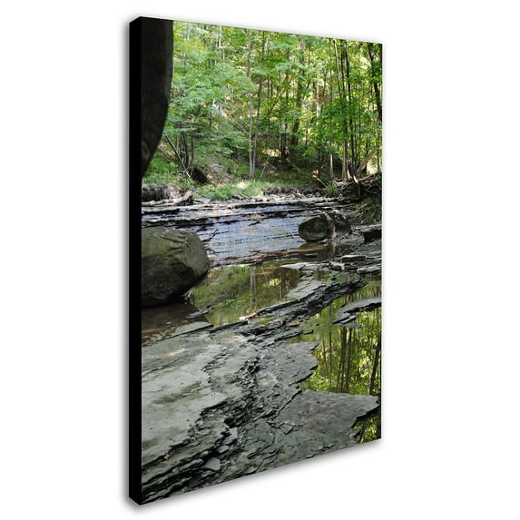 Trademark Fine Art "Crystal Rock" Canvas Art by Monica Fleet