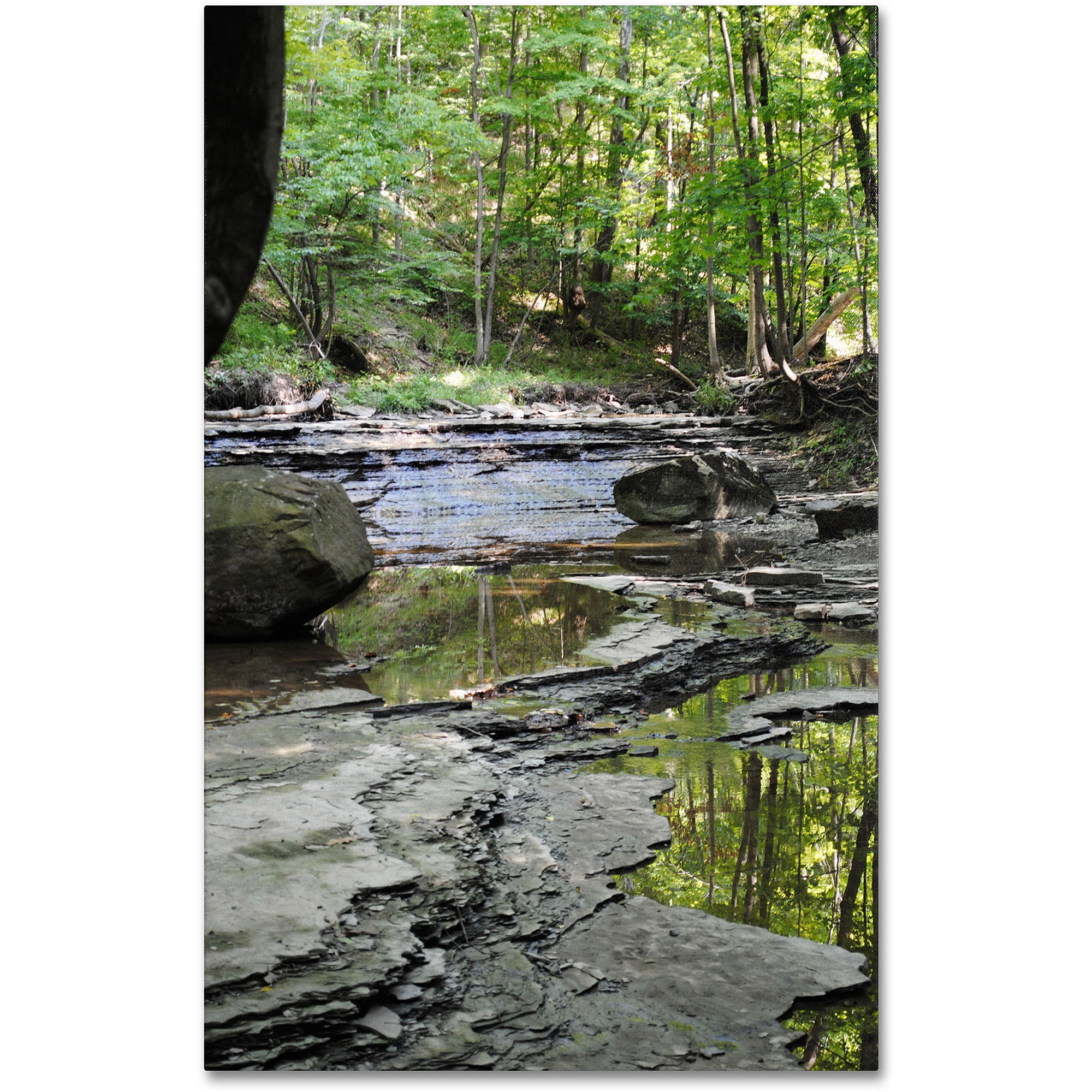 Trademark Fine Art "Crystal Rock" Canvas Art by Monica Fleet