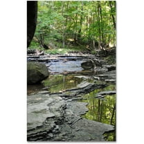 Trademark Fine Art "Crystal Rock" Canvas Art by Monica Fleet