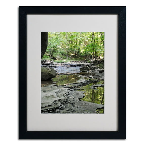 Trademark Fine Art "Crystal Rock" by Monica Fleet, Black Frame