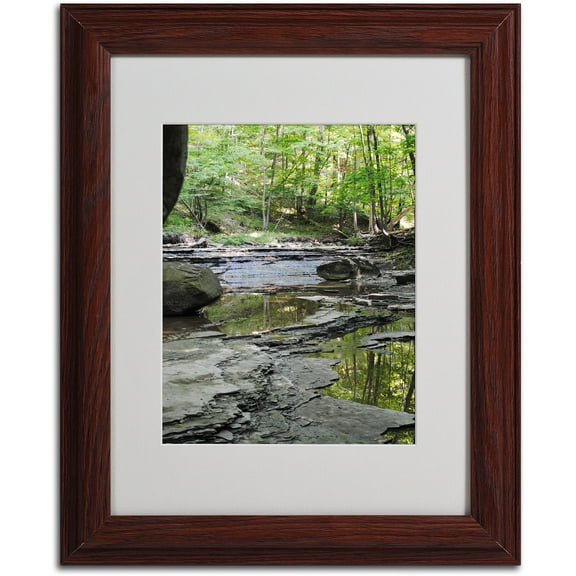 Trademark Fine Art "Crystal Rock" by Monica Fleet, Wood Frame