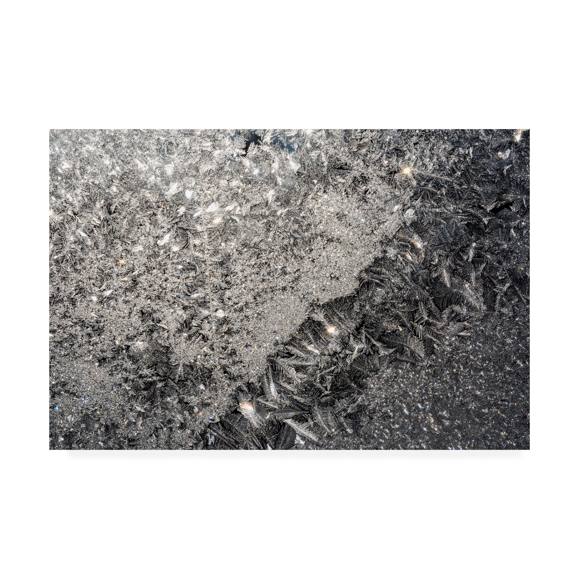 Trademark Fine Art 'Crystal Window' Canvas Art by Kurt Shaffer