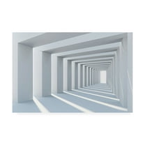 Trademark Fine Art 'Cube Hall' Canvas Art by PhotoINC Studio