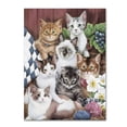 thumbnail image 1 of Trademark Fine Art 'Cuddly Kittens' Canvas Art by Jenny Newland, 1 of 3