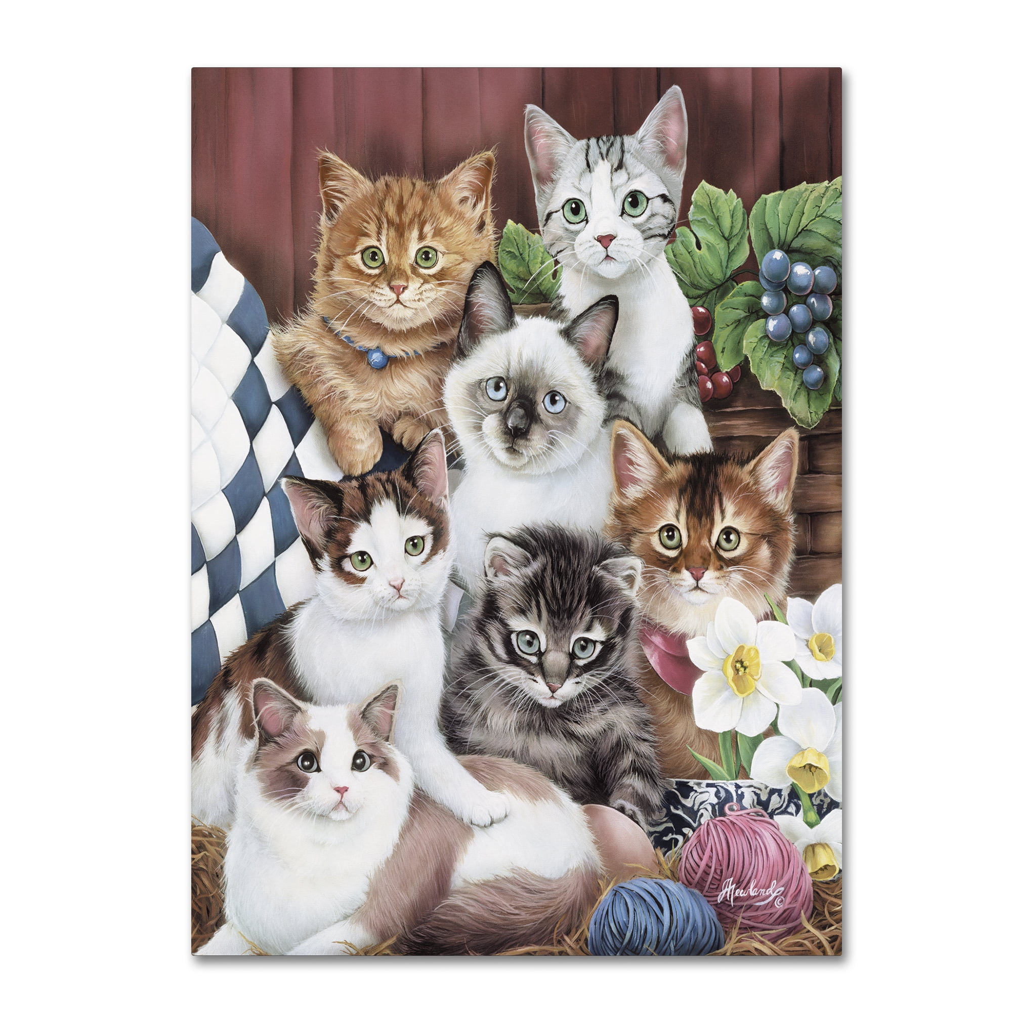 Trademark Fine Art 'Cuddly Kittens' Canvas Art by Jenny Newland