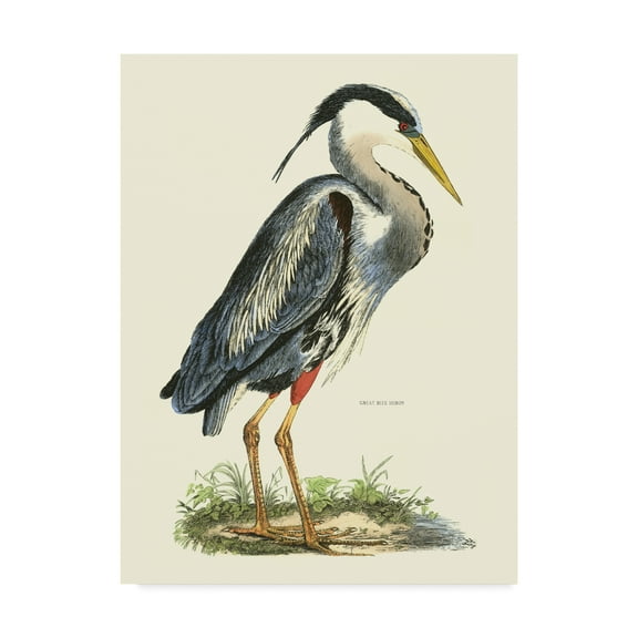 Trademark Fine Art 'Custom Great Blue Heron' Canvas Art by John Selby