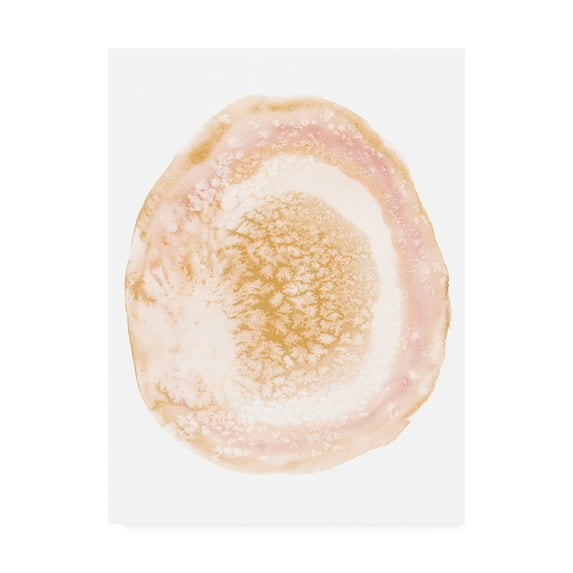 Trademark Fine Art 'Custom Radiant Geode Iv' Canvas Art by Naomi Mccavitt