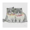 thumbnail image 1 of Trademark Fine Art 'Cutie Kitties VIII' Canvas Art by Emily Adams, 1 of 4