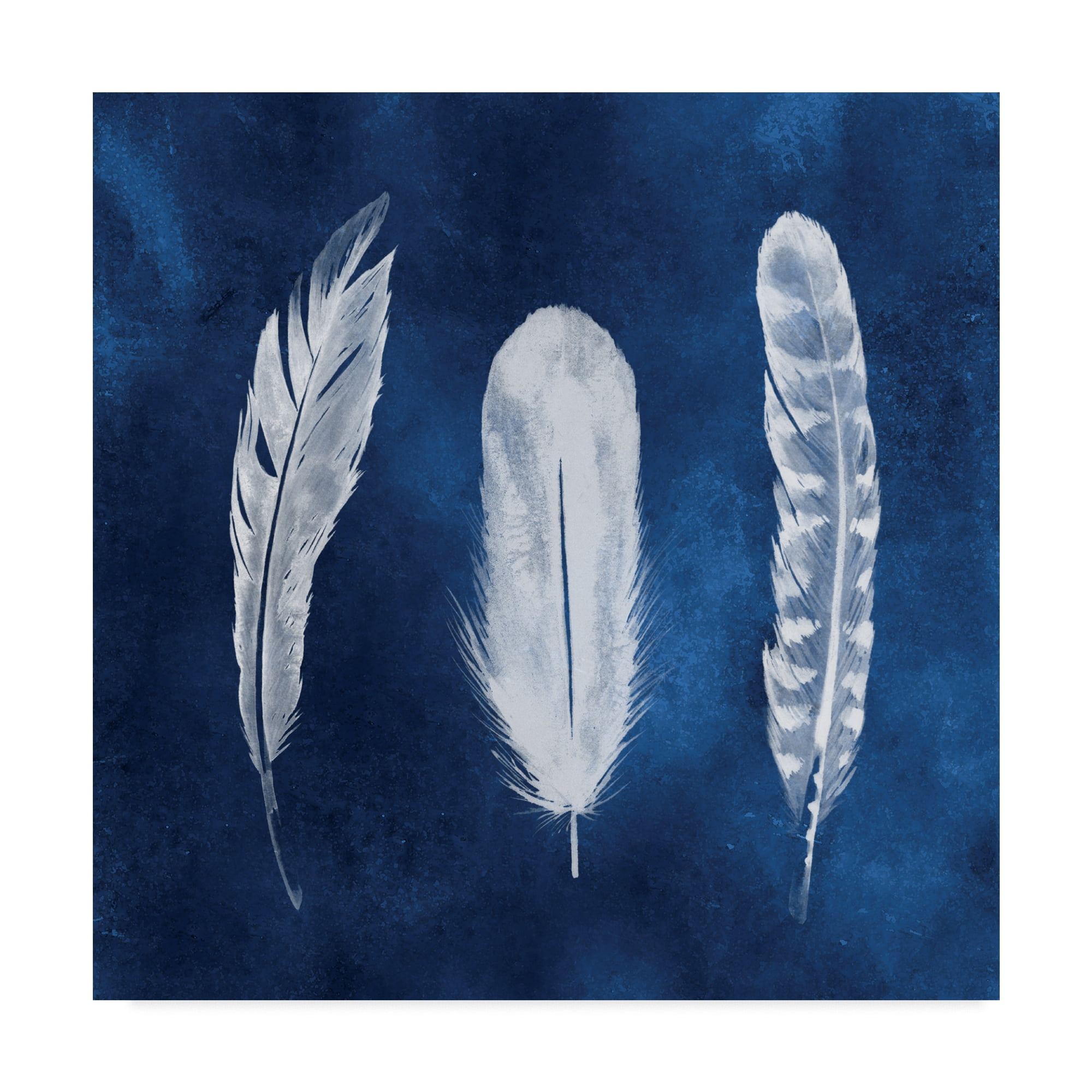 Trademark Fine Art 'Cyanotype Feathers I' Canvas Art by Grace Popp