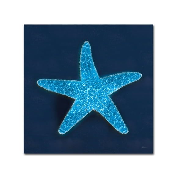 Trademark Fine Art 'Cyanotype Sea III' Canvas Art by Sue Schlabach