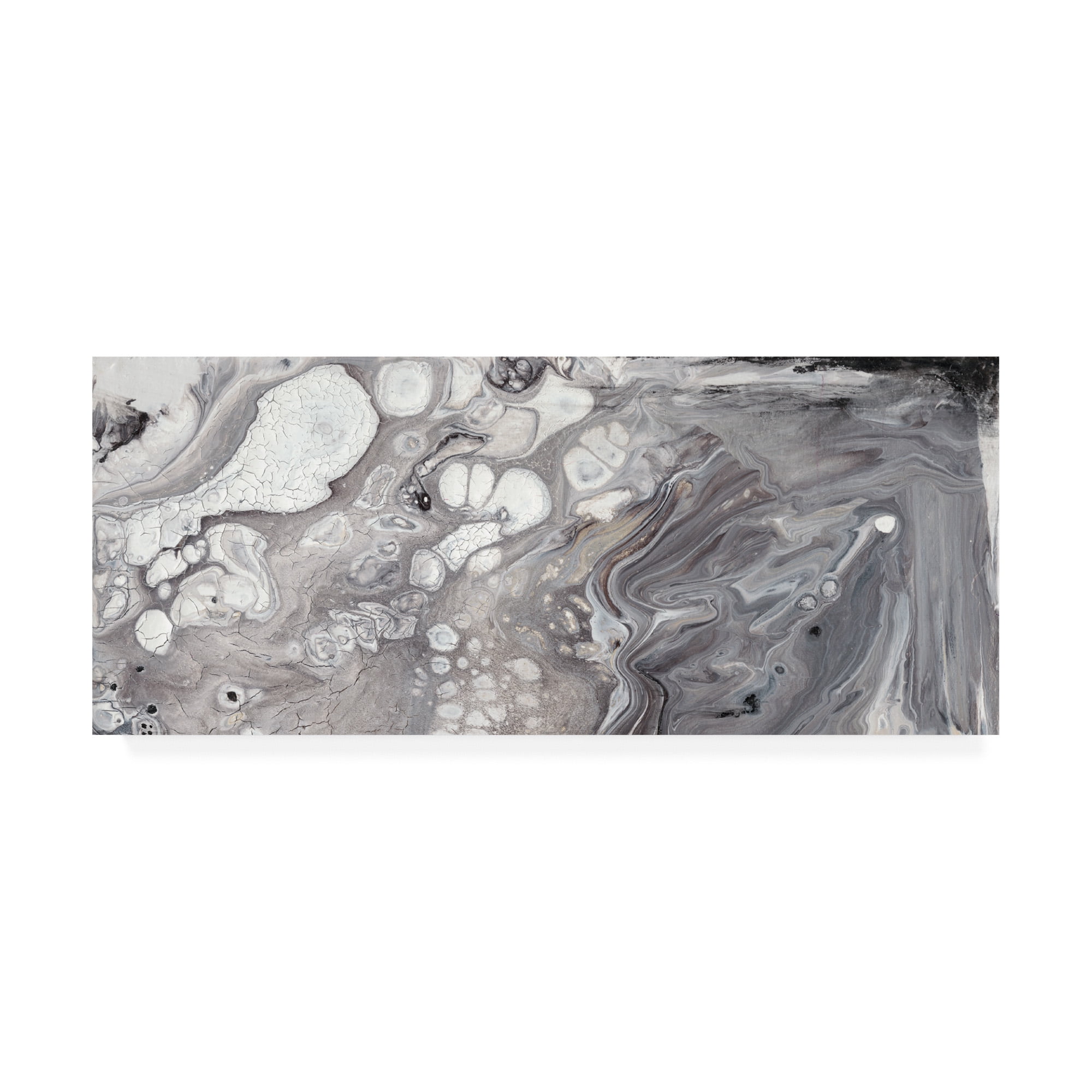 Trademark Fine Art 'Cycle I' Canvas Art by Lila Bramma