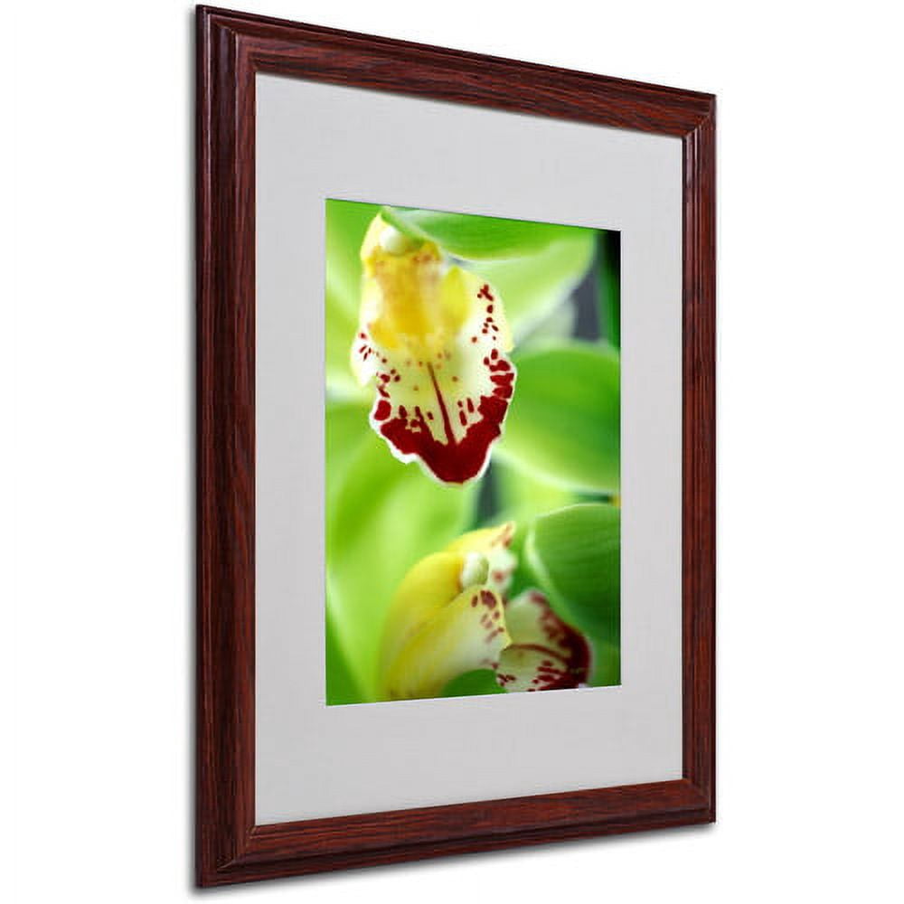 Trademark Fine Art "Cymbidium Seafoam Emerald Orchid" by Kathy Yates, Wood Frame