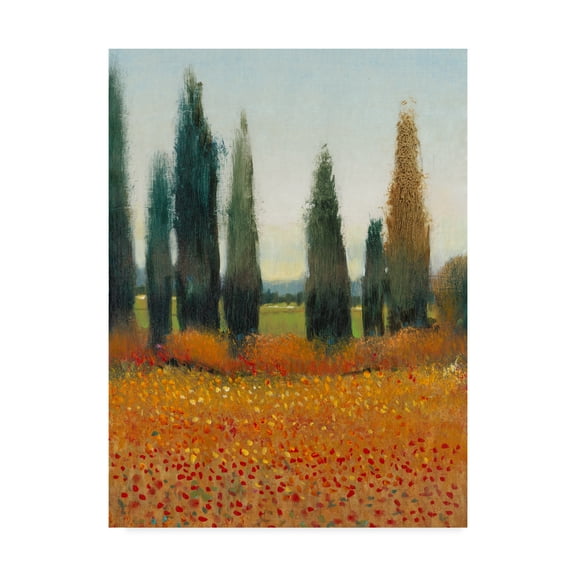 Trademark Fine Art 'Cypress Trees I' Canvas Art by Tim OToole