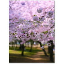 Trademark Fine Art "DC 2" Canvas Art by CATeyes