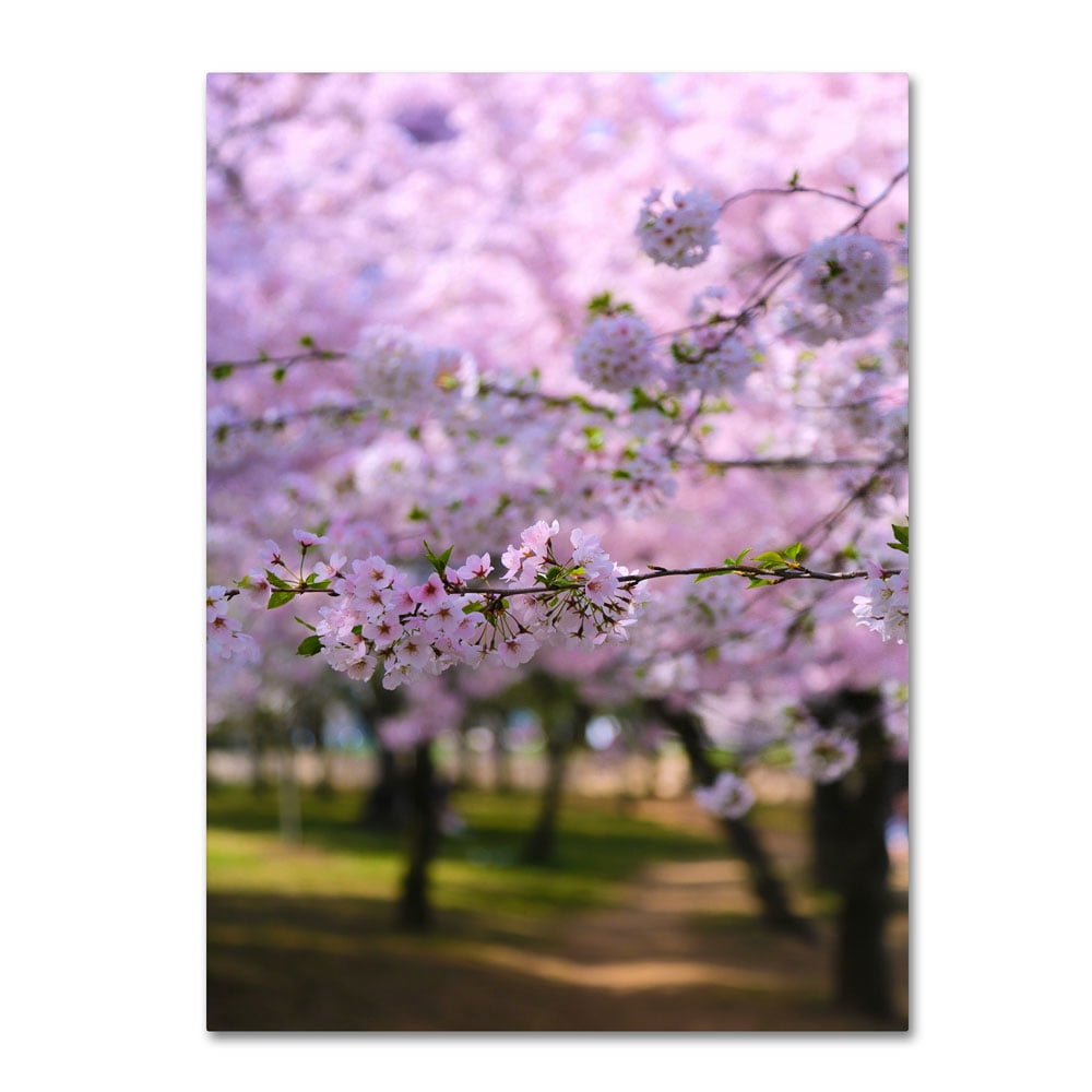Trademark Fine Art "DC 2" Canvas Art by CATeyes