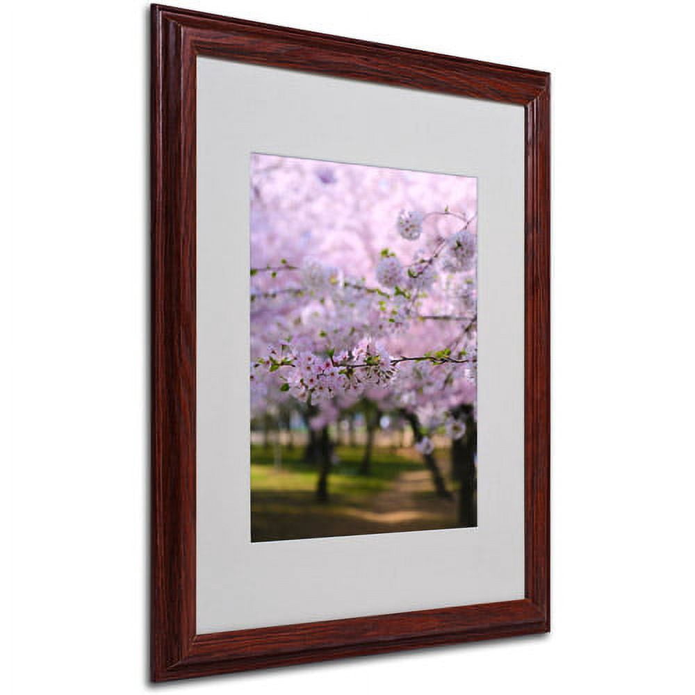 Trademark Fine Art "DC 2" Matted Framed Art by CATeyes