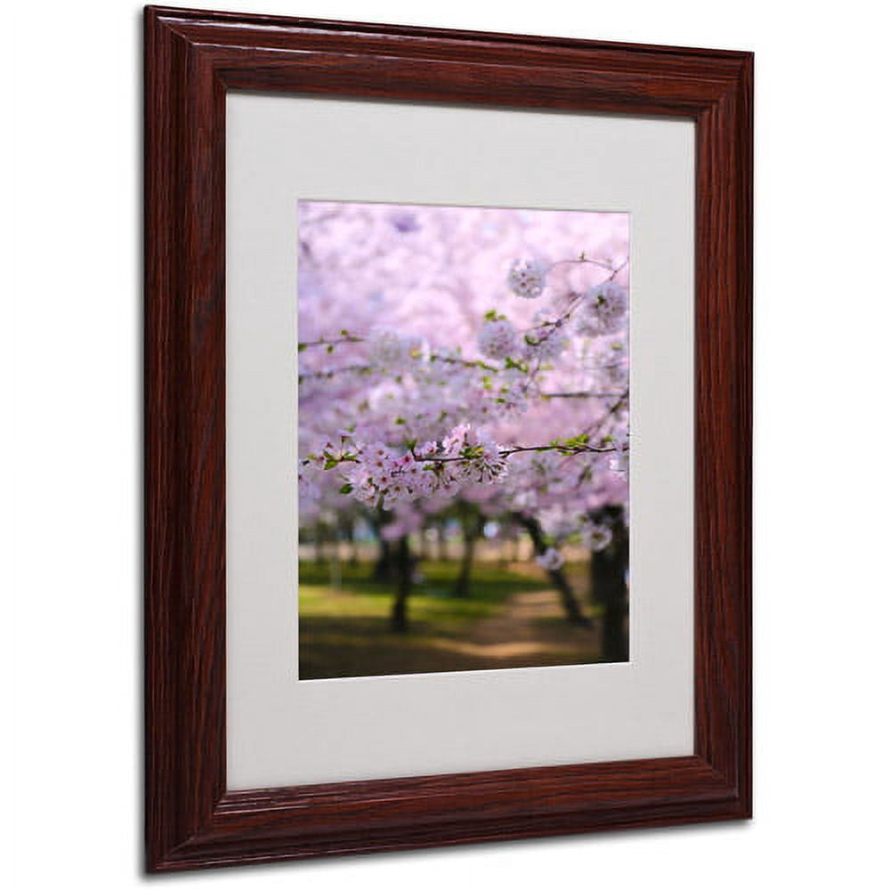 Trademark Fine Art "DC 2" Matted Framed Art by CATeyes