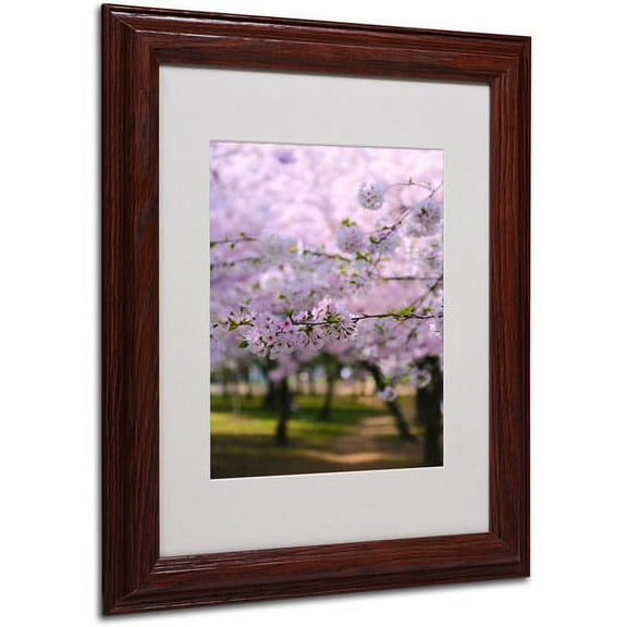 Trademark Fine Art "DC 2" Matted Framed Art by CATeyes