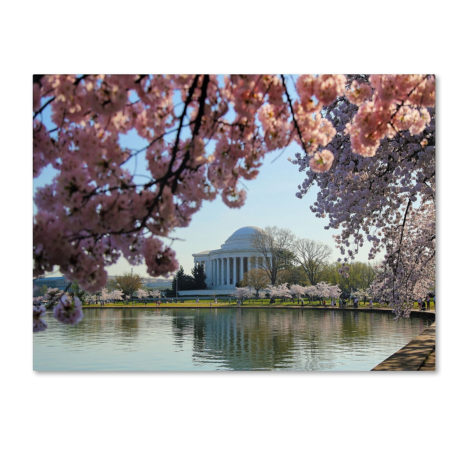 Trademark Fine Art "DC 3" Canvas Art by CATeyes
