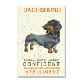 thumbnail image 1 of Trademark Fine Art 'Dachshund Print' Canvas Art by Michelle Campbell, 1 of 3