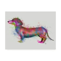 Trademark Fine Art 'Dachshund Rainbow Splash 1' Canvas Art by Fab Funky
