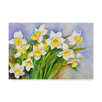 Trademark Fine Art 'Daffodil Cluster' Canvas Art by Joanne Porter