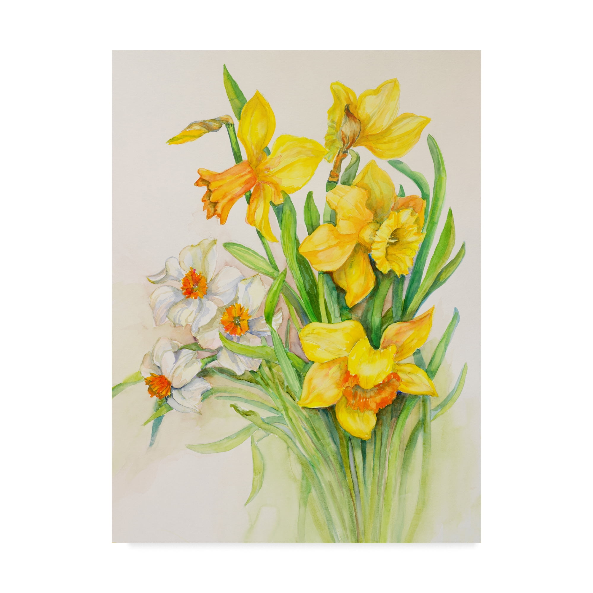 Trademark Fine Art 'Daffodils Springs Calling Card' Canvas Art by Joanne Porter
