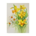 thumbnail image 1 of Trademark Fine Art 'Daffodils Springs Calling Card' Canvas Art by Joanne Porter, 1 of 3