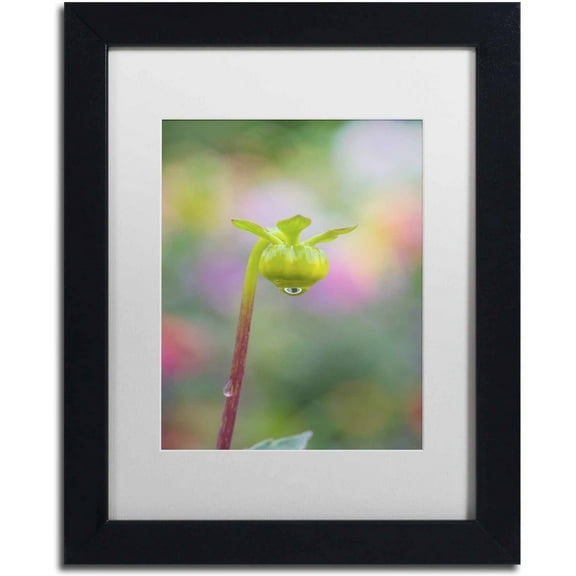 Trademark Fine Art 'Dahlia Bud' Canvas Art by Cora Niele, White Matte, Black Frame