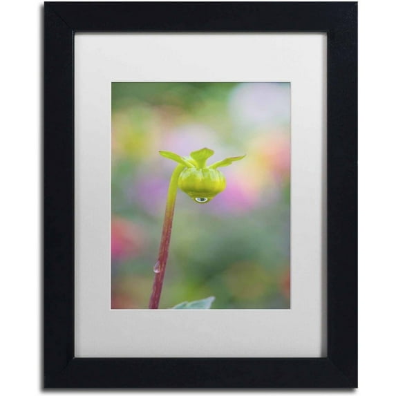 Trademark Fine Art 'Dahlia Bud' Canvas Art by Cora Niele, White Matte, Black Frame