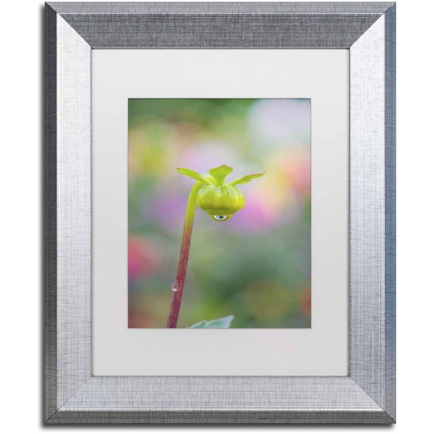 Trademark Fine Art 'Dahlia Bud' Canvas Art by Cora Niele, White Matte, Silver Frame