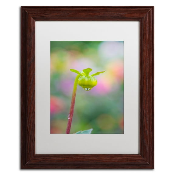 Trademark Fine Art 'Dahlia Bud' Canvas Art by Cora Niele, White Matte, Wood Frame