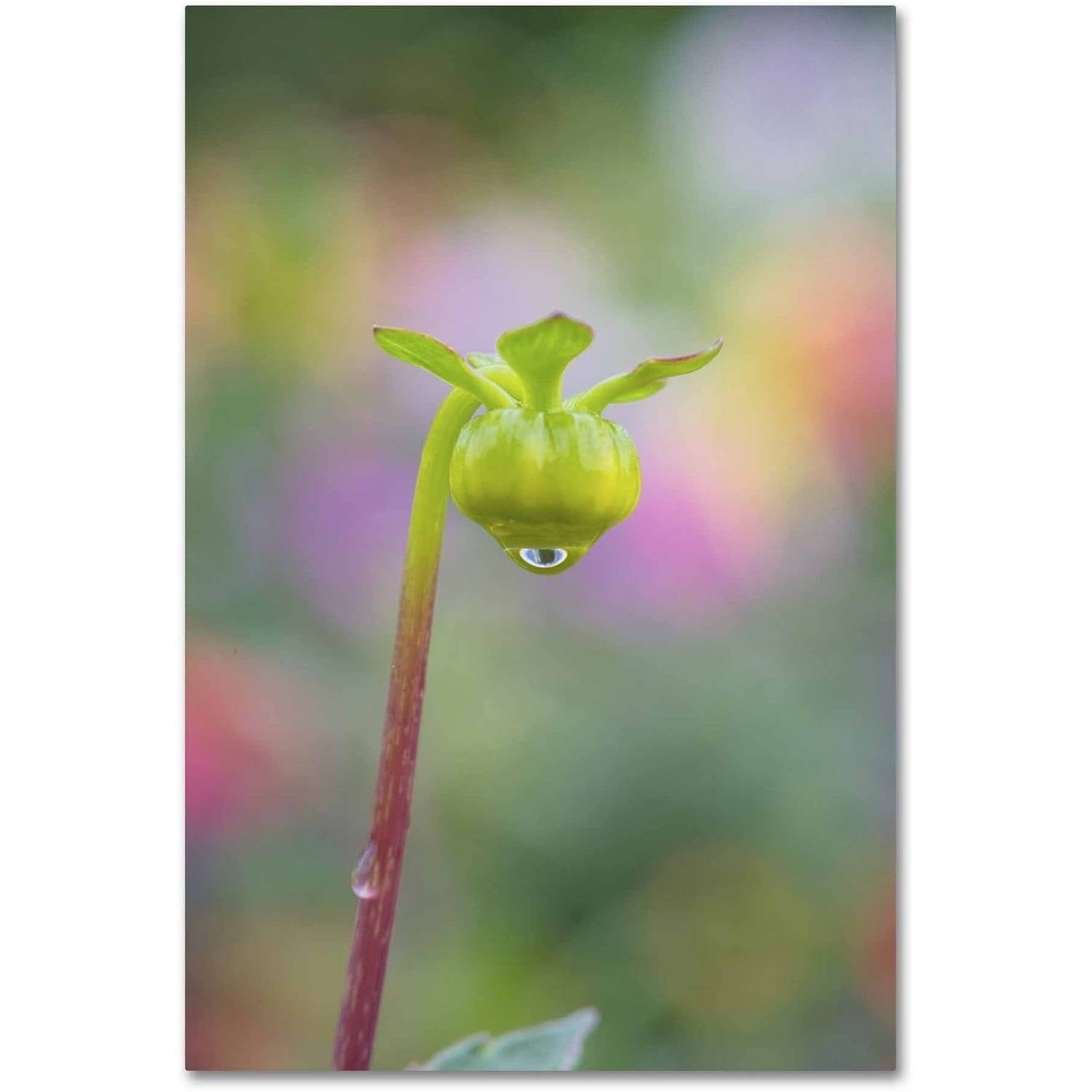 Trademark Fine Art 'Dahlia Bud' Canvas Art by Cora Niele