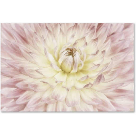 Trademark Fine Art 'Dahlia Flower' Canvas Art by Cora Niele