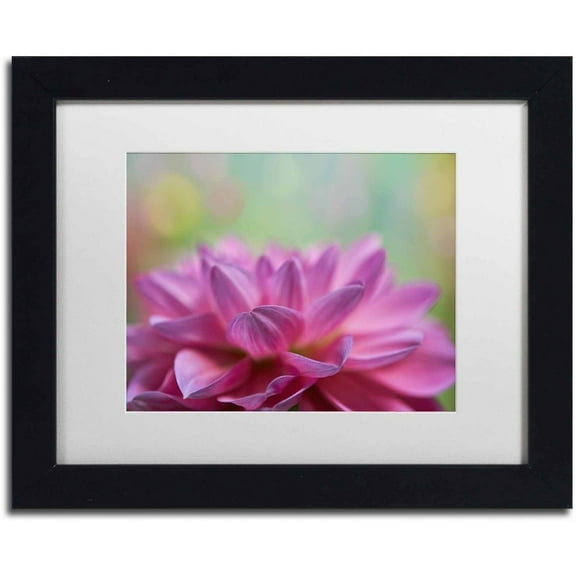 Trademark Fine Art 'Dahlia Petals' Canvas Art by Cora Niele, White Matte, Black Frame