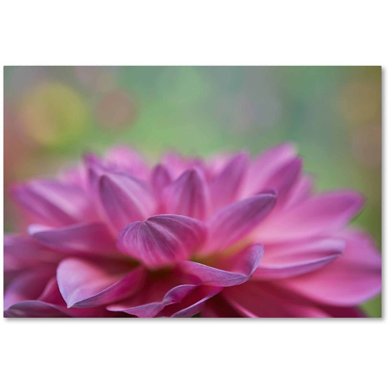 Trademark Fine Art 'Dahlia Petals' Canvas Art by Cora Niele